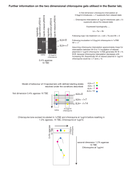 Guide to chloquine gels from Baxter lab [PDF 199.98KB]