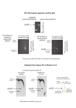 Examples of chloroquine gels from Baxter lab [PDF 1.19MB]