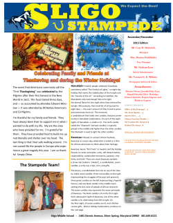 Sligo Stampede Nov/Dec 2015