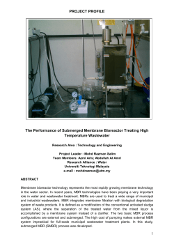 Project Profile Template IRGS 78165 Jan 2011