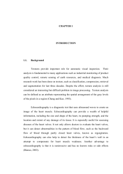NazoriPFKE2007CHAP1