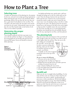 How to Plant a Tree pdf (290.8 K)