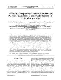 Full text in pdf format