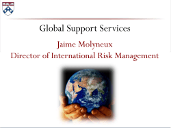 International Risk Management