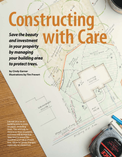 Protect Trees During Construction