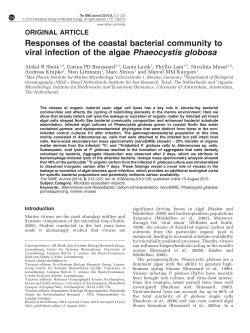 Responses of the coastal bacterial community to viral