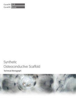 Synthetic Osteoconductive Scaffold