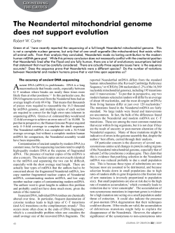 The Neandertal mitochondrial genome does not support evolution