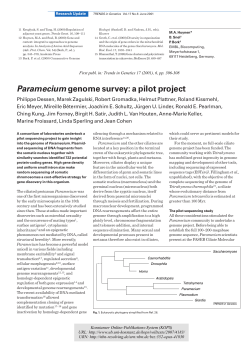 Paramecium genome survey : a pilot project