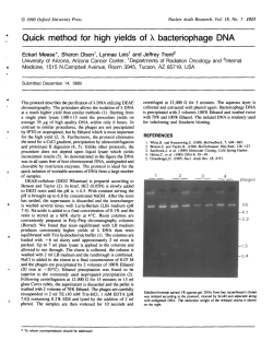 Quick method for high yields of X bacterbphage
