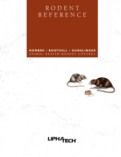 Rodent Reference Sheet