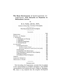 The Early Development ofAstropecten ir
