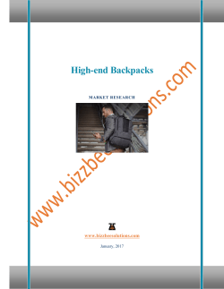 High-end Backpacks - BizzBee Solutions
