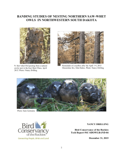 Banding Studies of Nesting Northern Saw