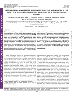 intravenously administered short interfering rna accumulates in the