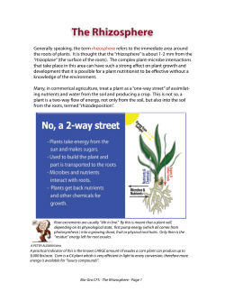 Generally speaking, the term rhizosphere refers to the