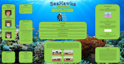 Info Objectives The Science Behind It All Buoyancy Drag