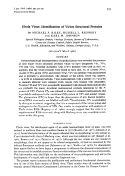 Ebola Virus: Identification of Virion Structural Proteins
