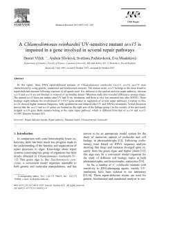 A Chlamydomonas reinhardtii UV-sensitive mutant uŐs15 is