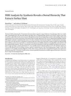 fMRI Analysis-by-Synthesis Reveals a Dorsal
