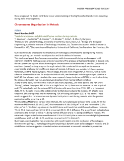 Chromosome Organization in Meiosis