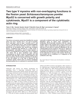 Myosin V in fission yeast - Journal of Cell Science