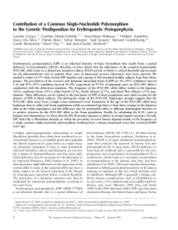 Contribution of a Common Single-Nucleotide Polymorphism to the