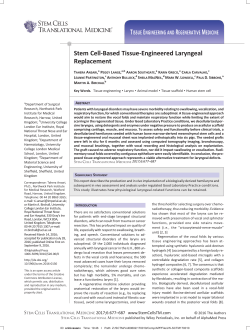 Stem Cell‐Based Tissue‐Engineered Laryngeal Replacement