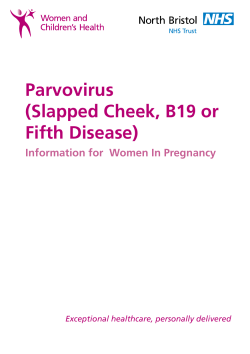 Parvovirus in pregnancy_NBT002484