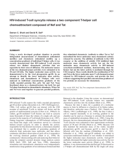 Nef and Tat: two component chemoattractant