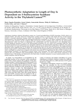 Photosynthetic Adaptation to Length of Day Is Dependent on S