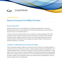 Revenue Assurance for Utilities Overview