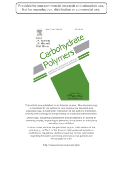 2008 Qilin Wu, Ning Pan, Keming Deng and Ding Pan