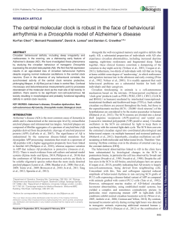 The central molecular clock is robust in the face of behavioural