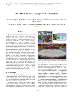 The S-Hock Dataset: Analyzing Crowds at the Stadium