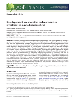 Size-dependent sex allocation and reproductive