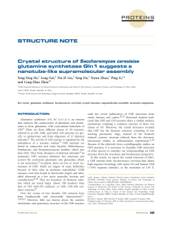 Crystal structure of Saccharomyces cerevisiae glutamine synthetase