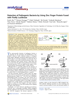 Detection of Pathogenic Bacteria by Using Zinc Finger Protein
