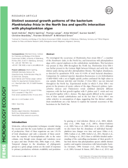 Distinct seasonal growth patterns of the bacterium Planktotalea frisia