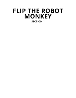 flip the robot monkey