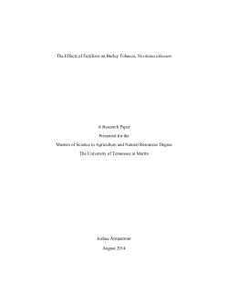 The Effects of Fertilizer on Burley Tobacco, Nicotiana