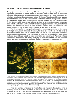 basic and applied studies on the relations between lichens and uv