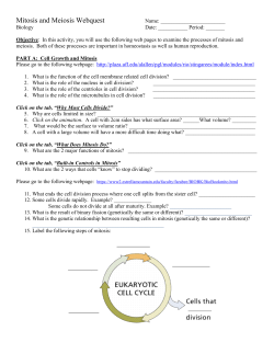 Mitosis and Meiosis Webquest