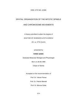 spatial organization of the mitotic spindle and - ETH E