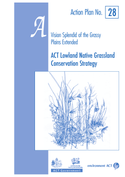 ACT Lowland Native Grassland Conservation Strategy