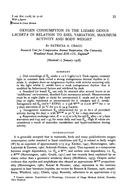 oxygen consumption in the lizard genus lacerta in