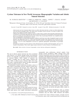 Cyclone Tolerance in New World Arecaceae