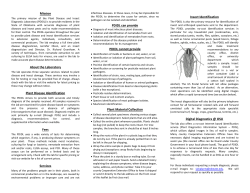 Mission About the Laboratory Plant Disease Identification Fees