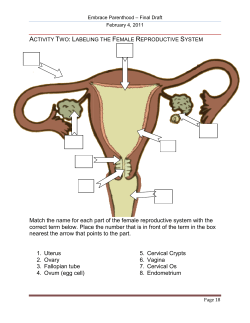 Match the name for each part of the f correct term below. Place