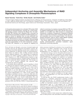 Independent Anchoring and Assembly Mechanisms of INAD